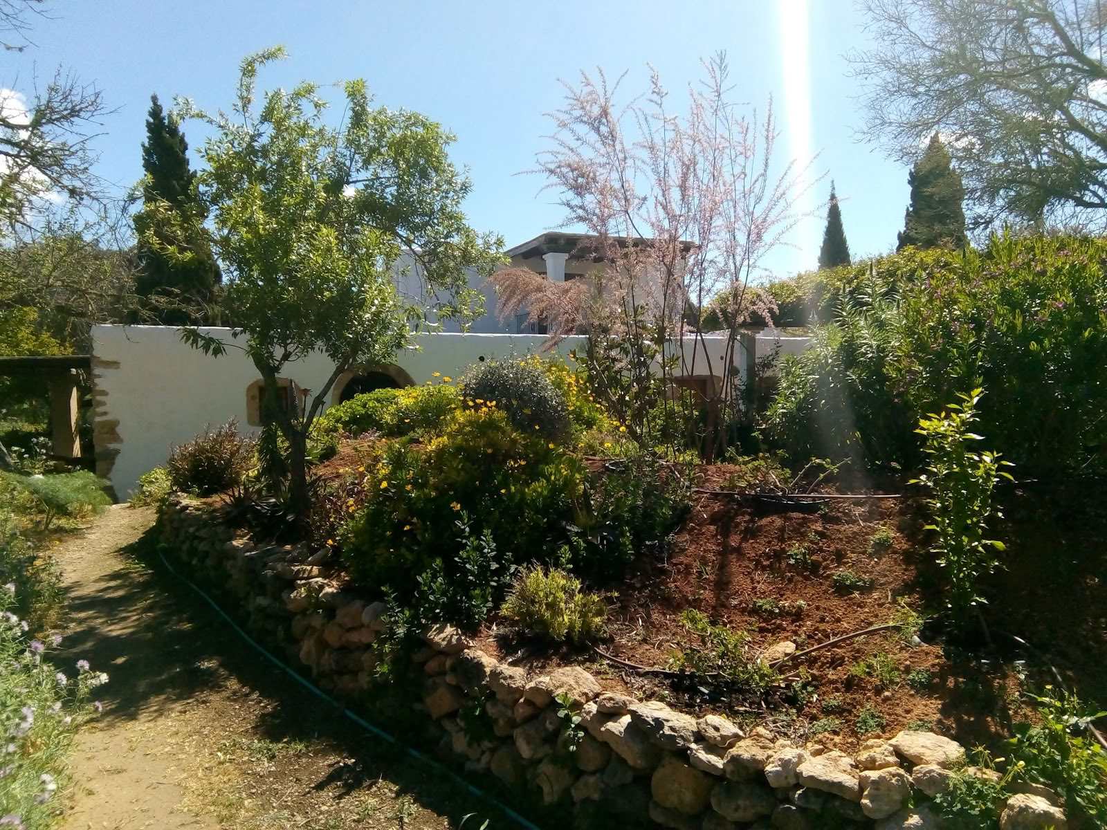 Arts en mouvement à Ibiza