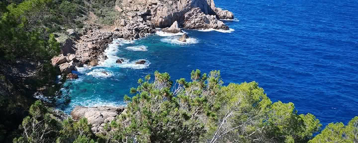 Arts en mouvement à Ibiza