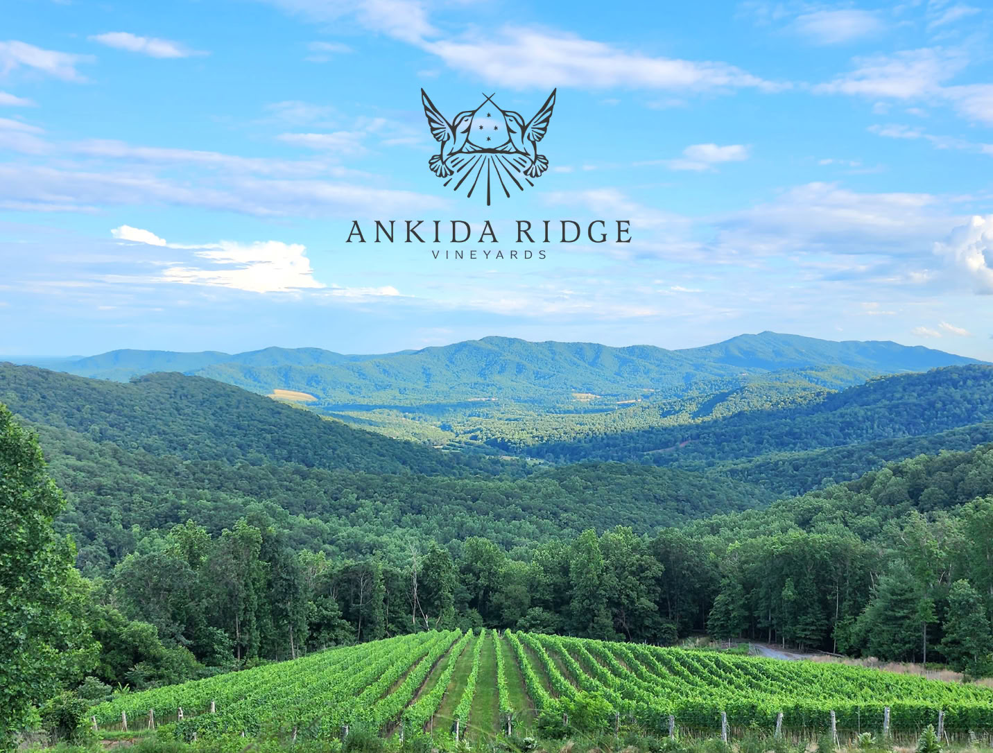 Vignobles d'Ankida Ridge