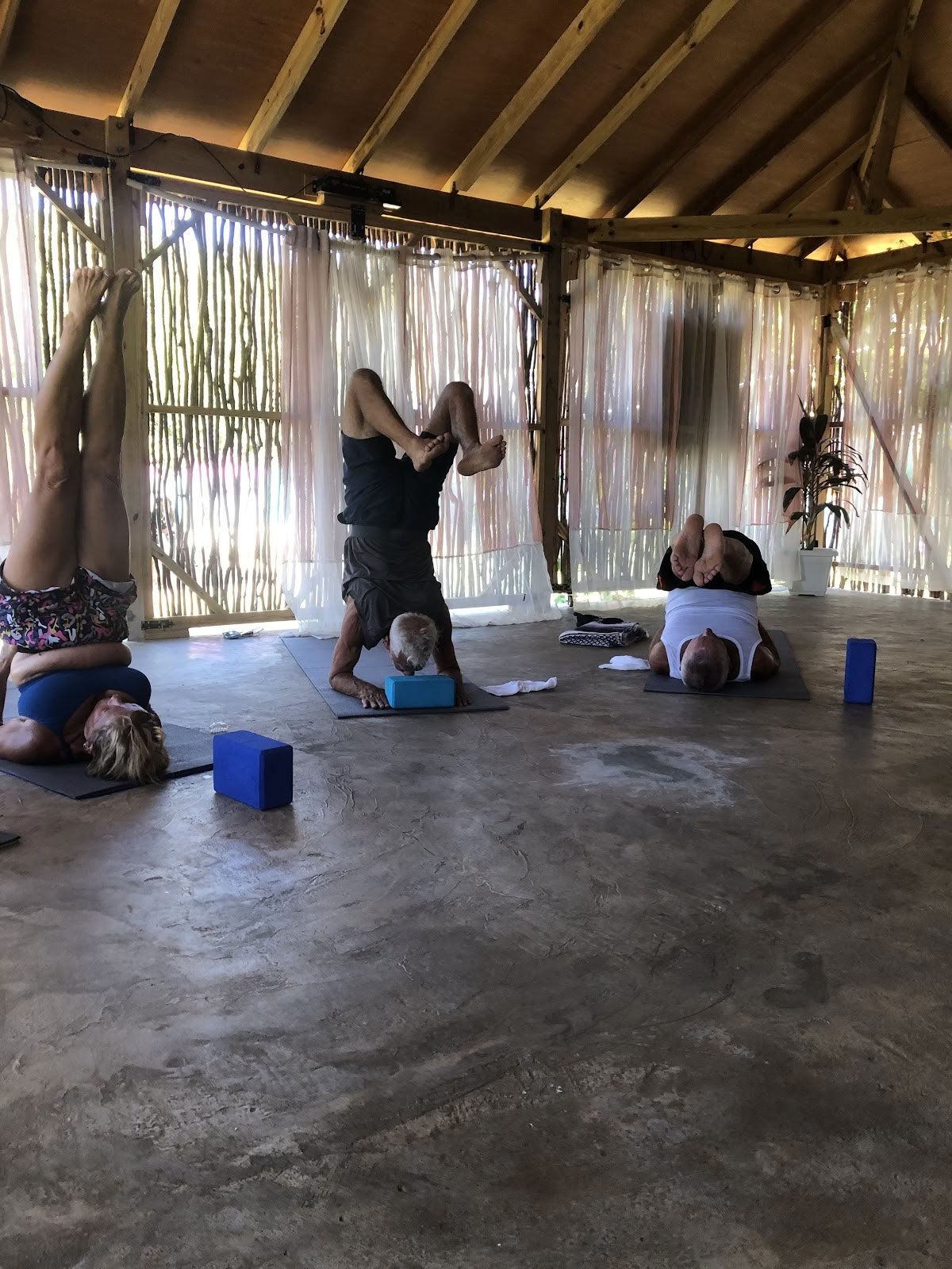 Wise Wellness -Centre de yoga / spa de jour et iTal Mama Café vegan
