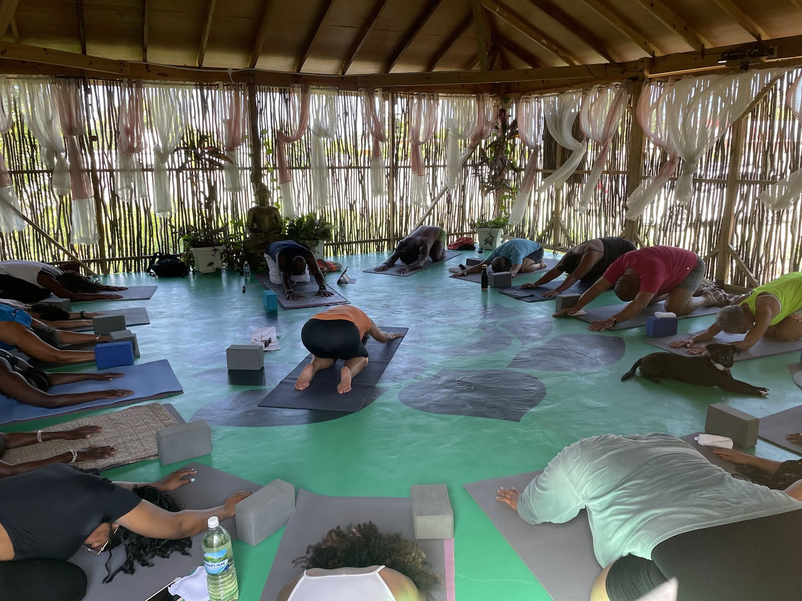 Wise Wellness -Centre de yoga / spa de jour et iTal Mama Café vegan