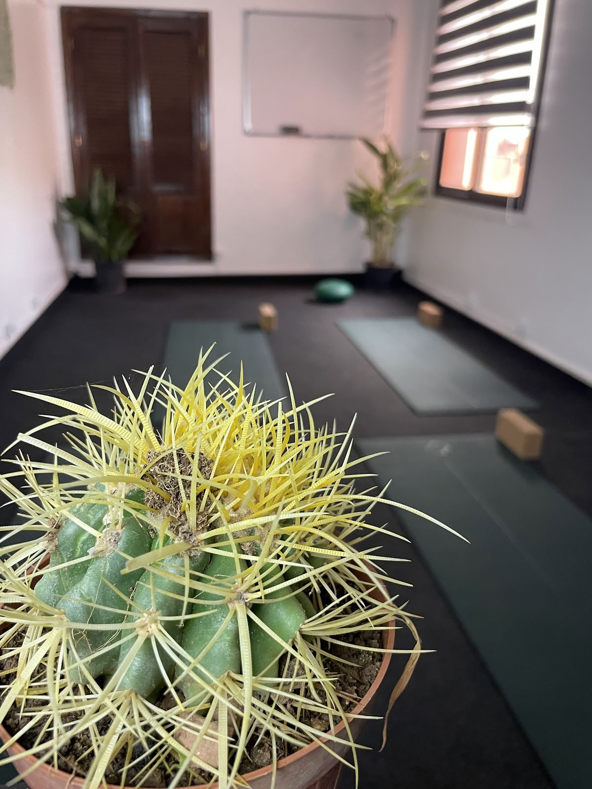 Kioze - Yoga Marrakech, Studio de yoga 100 % femmes, Pilates Marrakech, danse orientale, boxe femmes, cours de yoga Marrakech