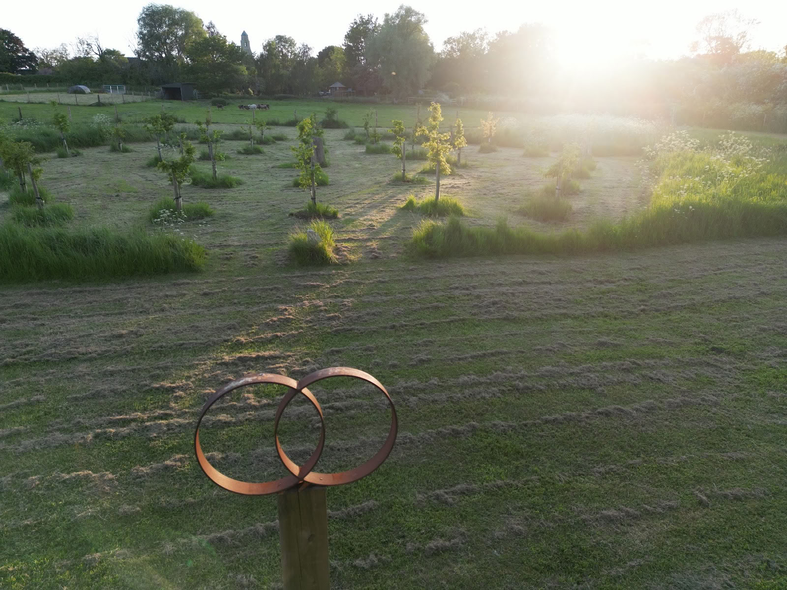 Champ de guérison