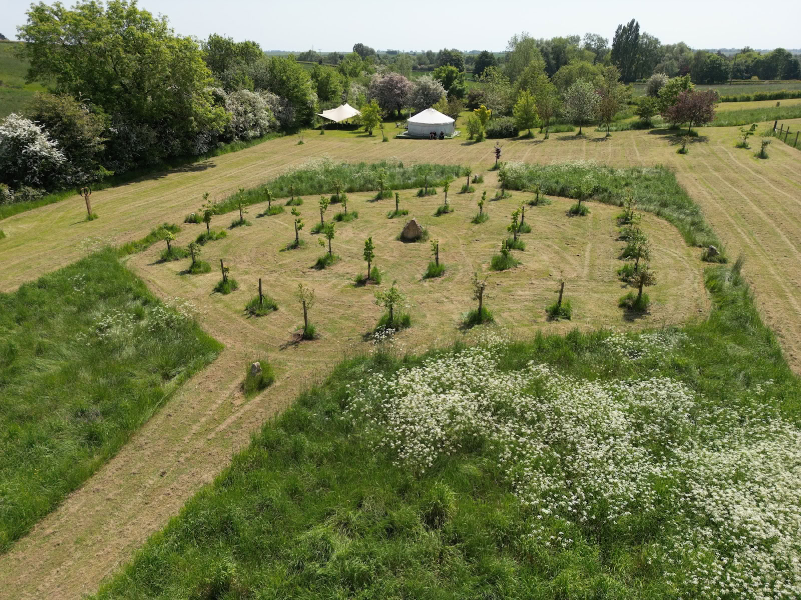 Champ de guérison