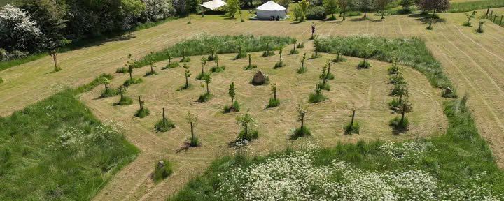 Champ de guérison