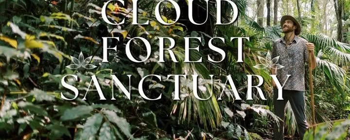 Sanctuaire de la forêt nuageuse de Kona