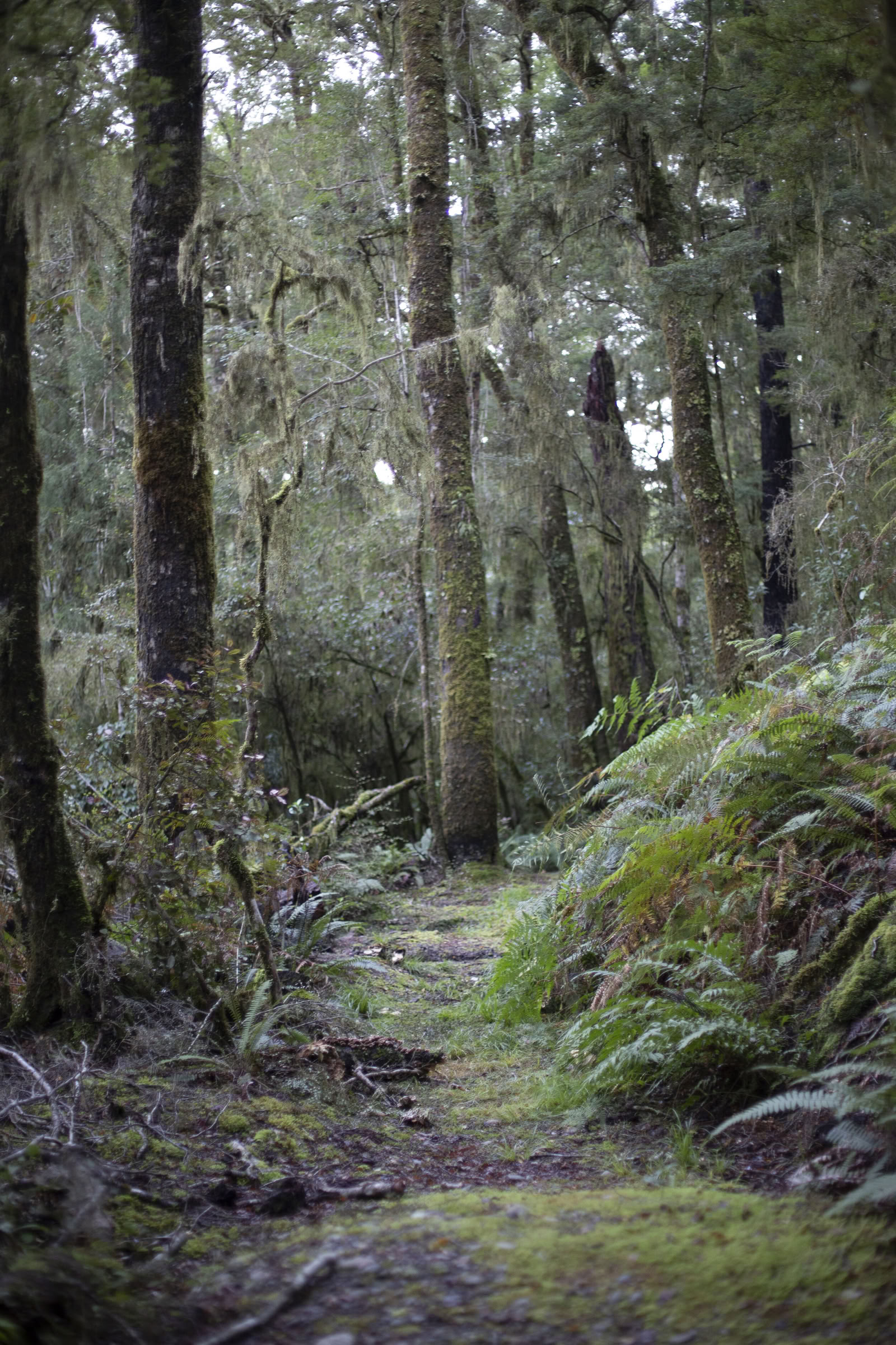 Retraite de la rivière Maruia