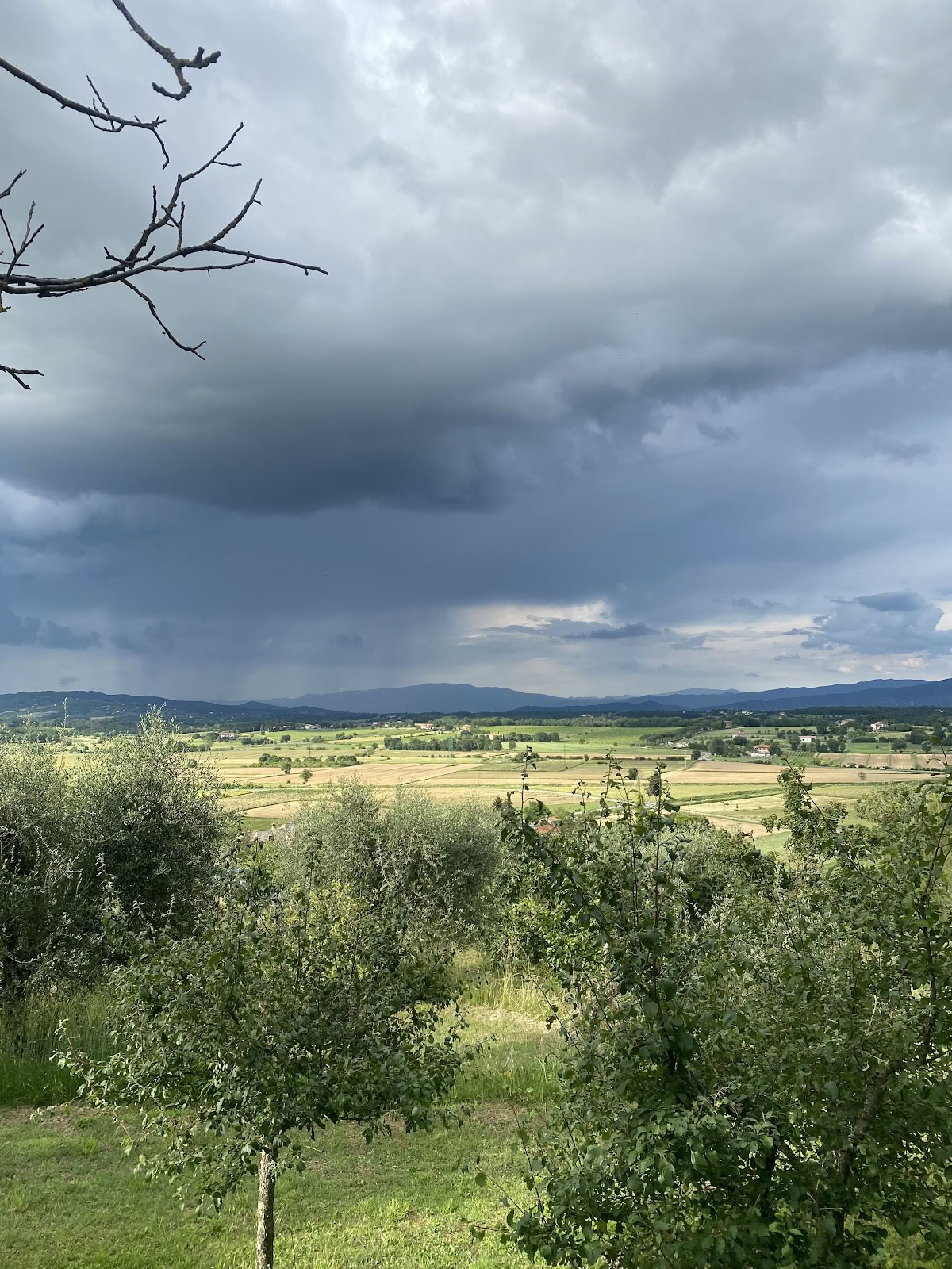 Maraviglia Vie consciente
