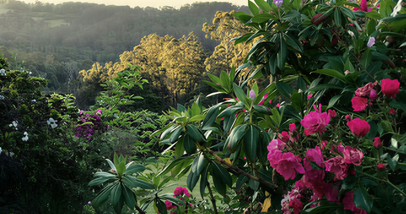 Retraite Mirador Springs