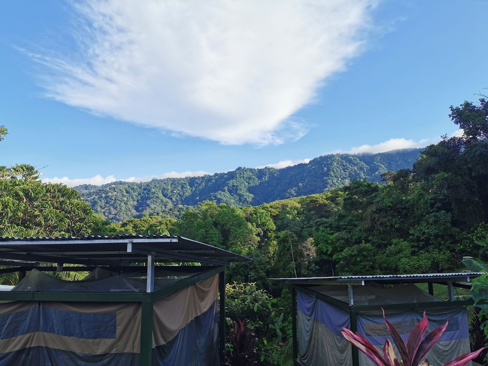 Navina™ Costa Rica