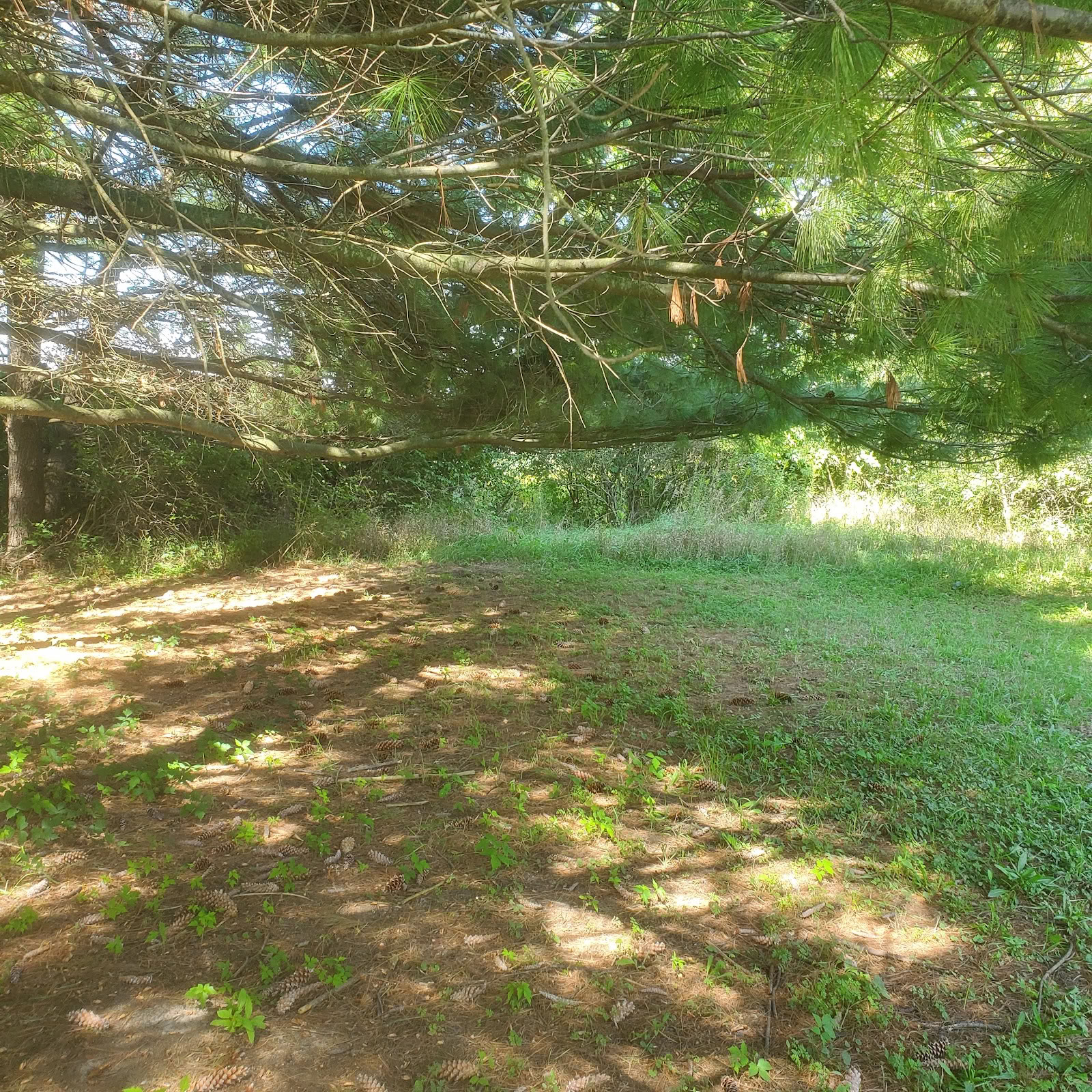 Centre de retraite Oakwood
