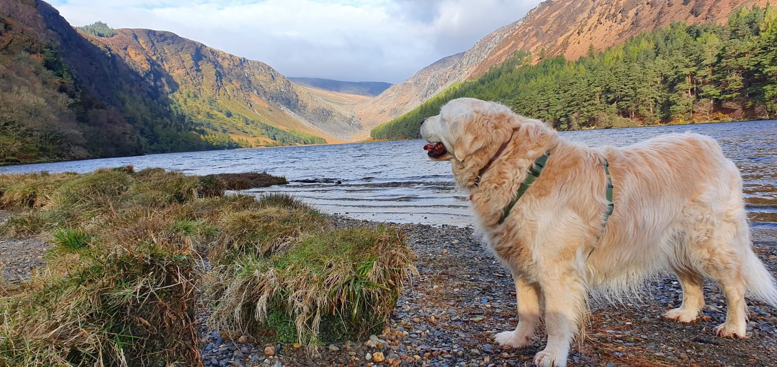 Sanctuaire de Glendalough