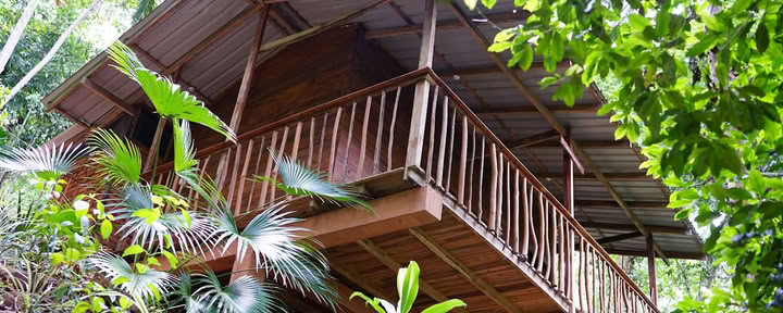 Polwaththa Eco Lodges & Retraite
