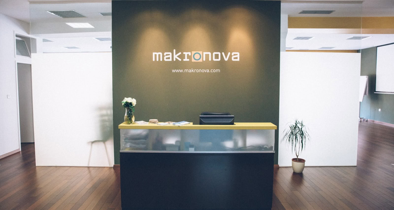 Makronova