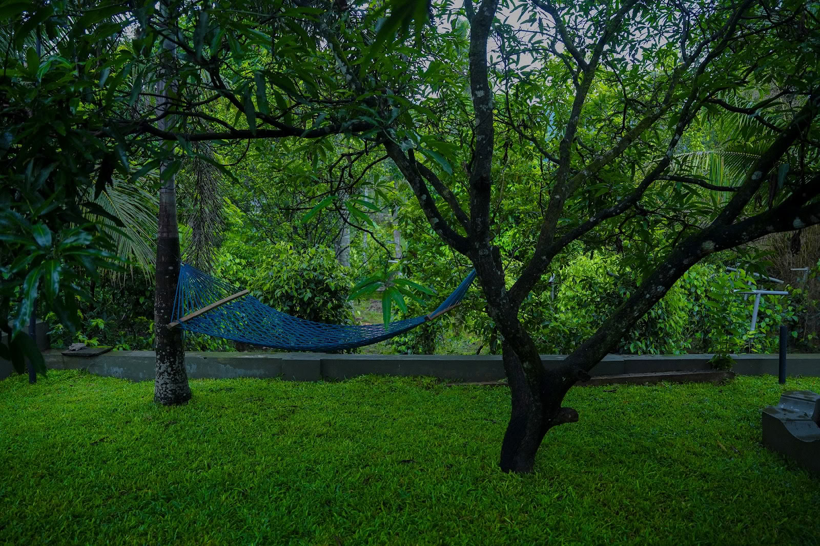 Sahachara Ayurveda Yoga Écoliving