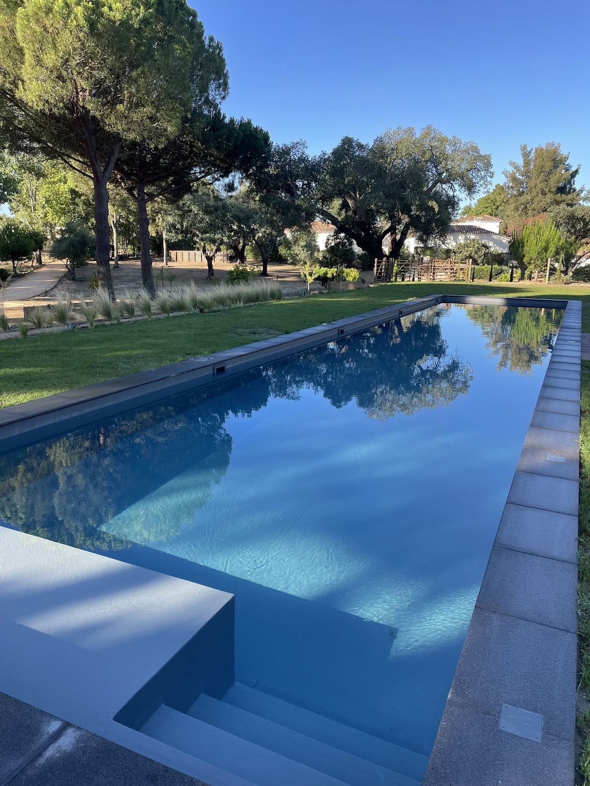 Terra quinta