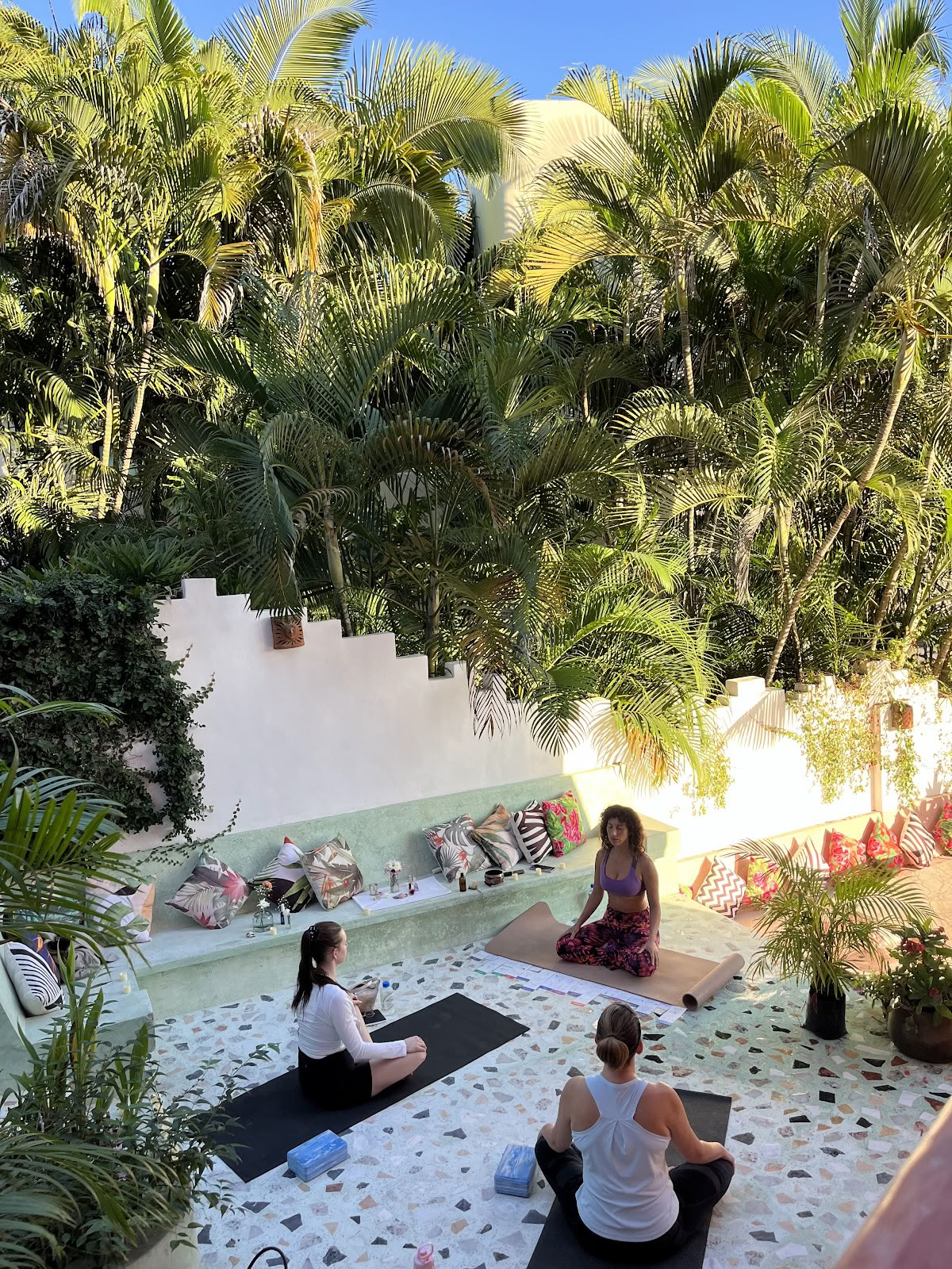 L’école de Reiki et de magie
