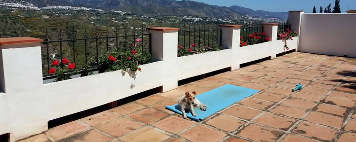 Vacances de yoga Paradiso. La Rejana