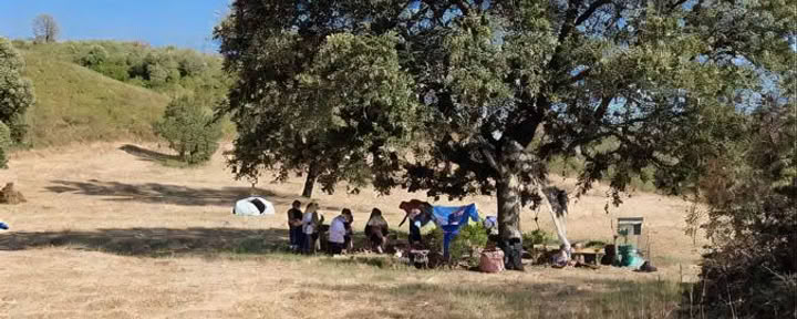 École de survie en forêt