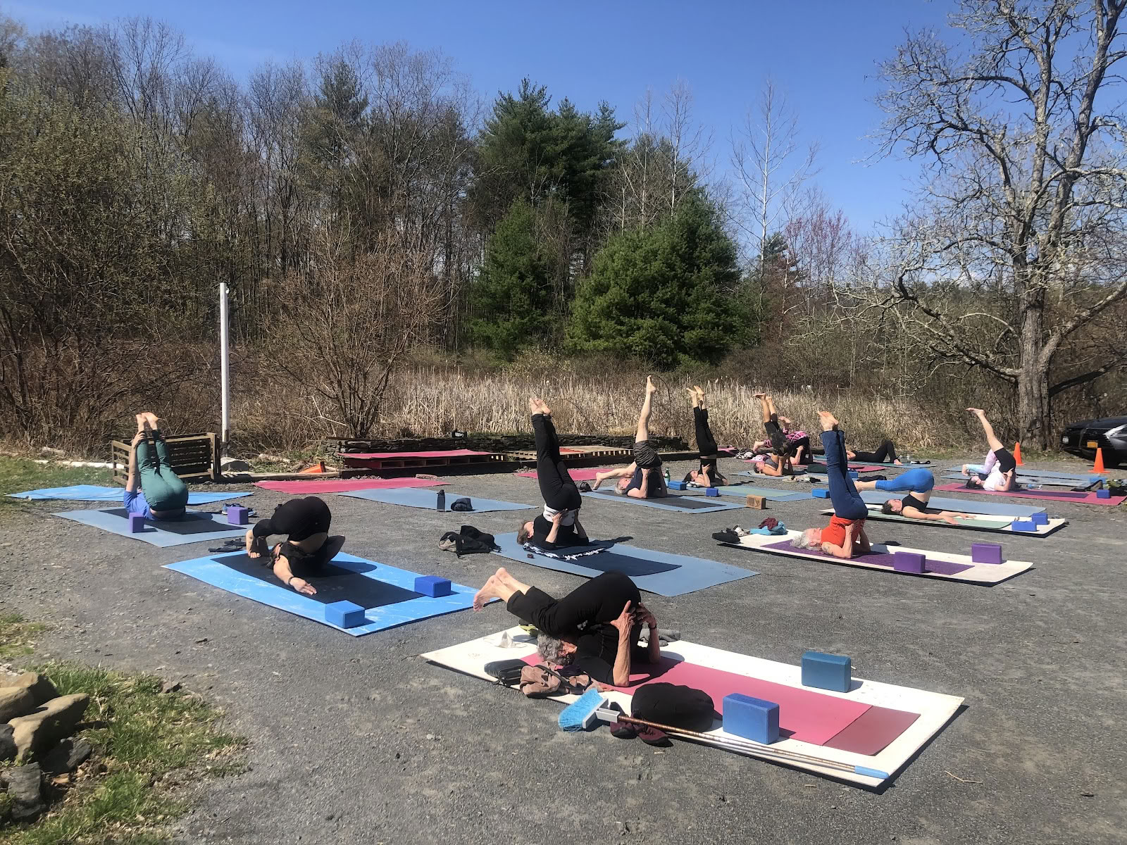 Yoga Shakti Woodstock