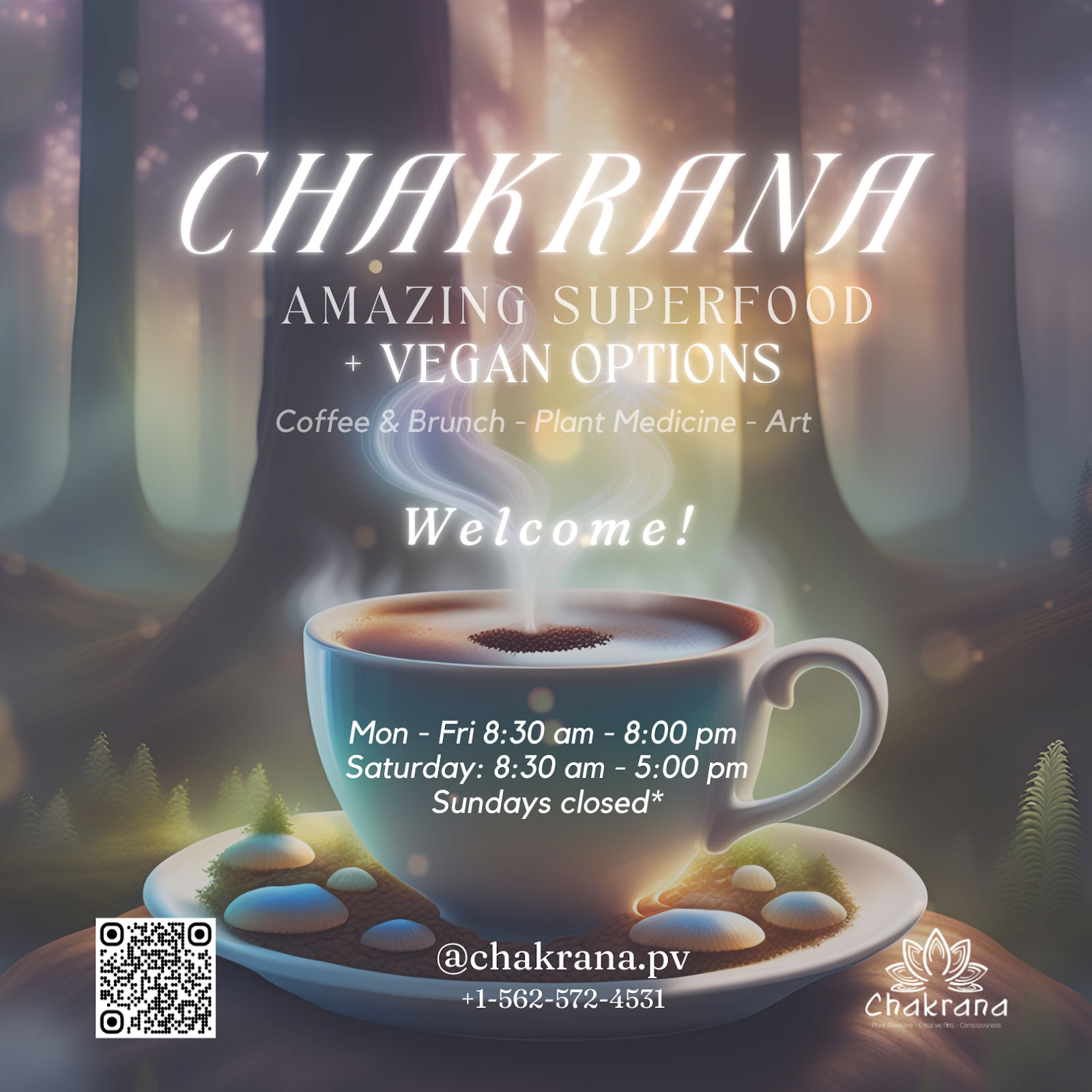 Chakrana - #1 Ayahuasca et médecine des plantes à Puerto Vallarta, au Mexique.