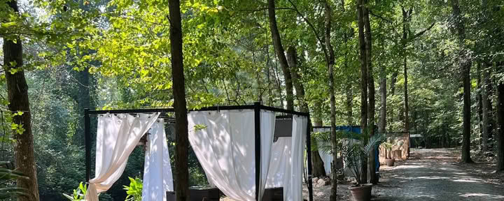 Parc Paradise Atlanta