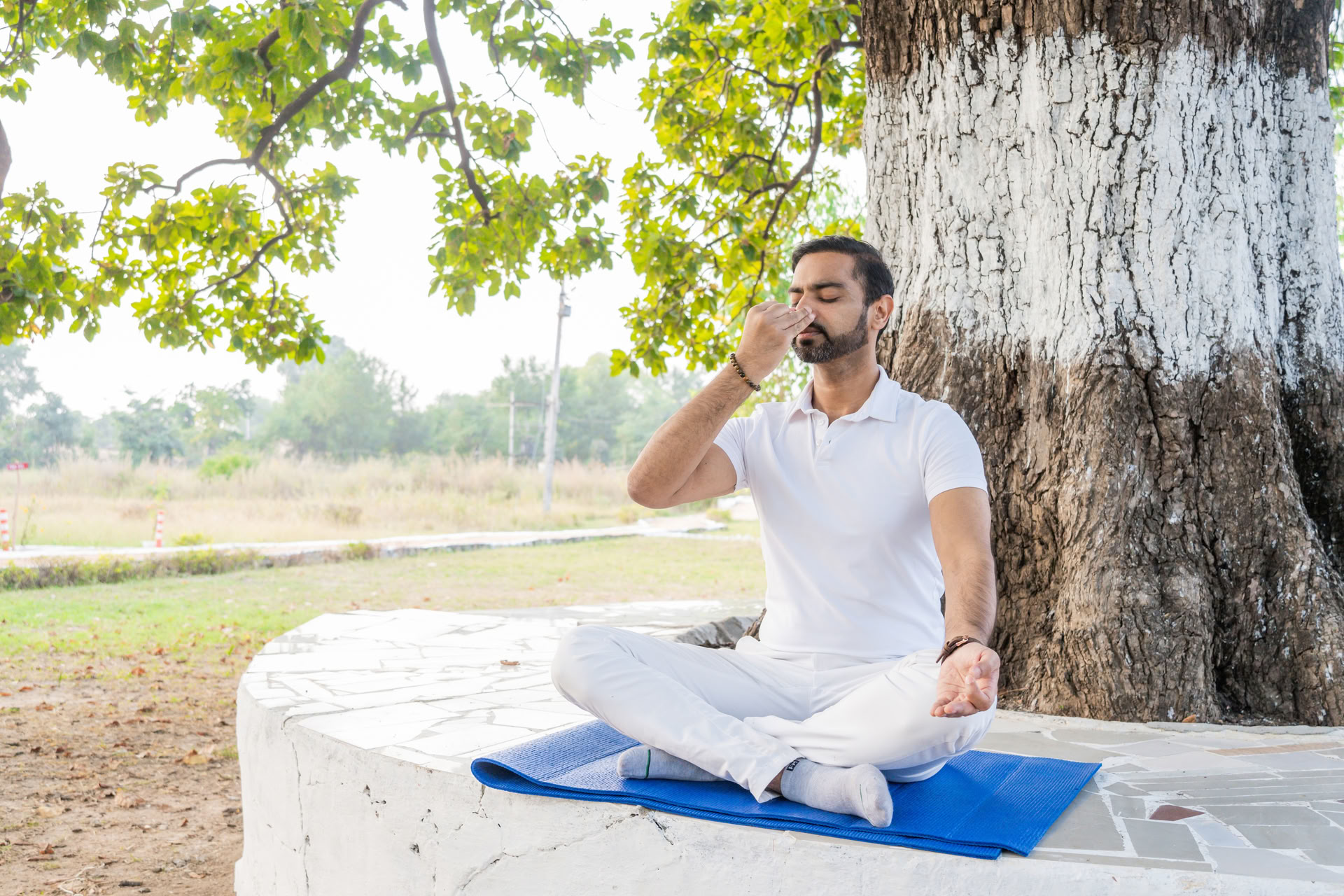 Arhanta - Formation de professeurs de yoga dans un ashram en Inde