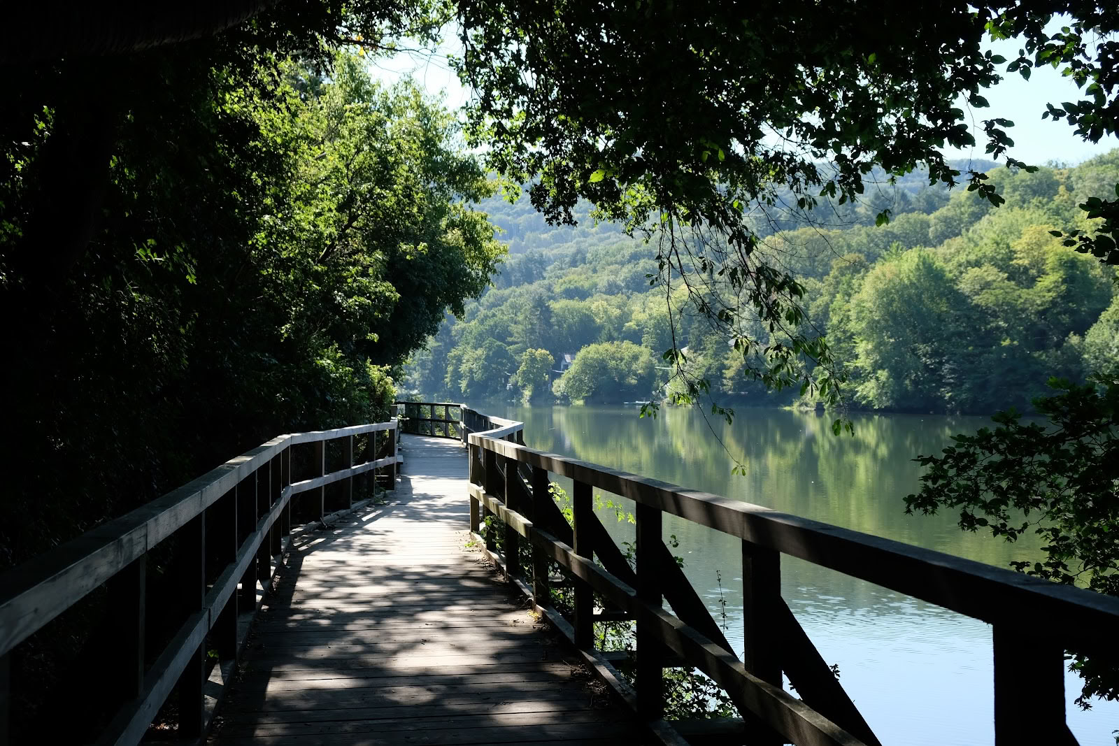 École de yoga Anandam — Parc national de l'Eifel