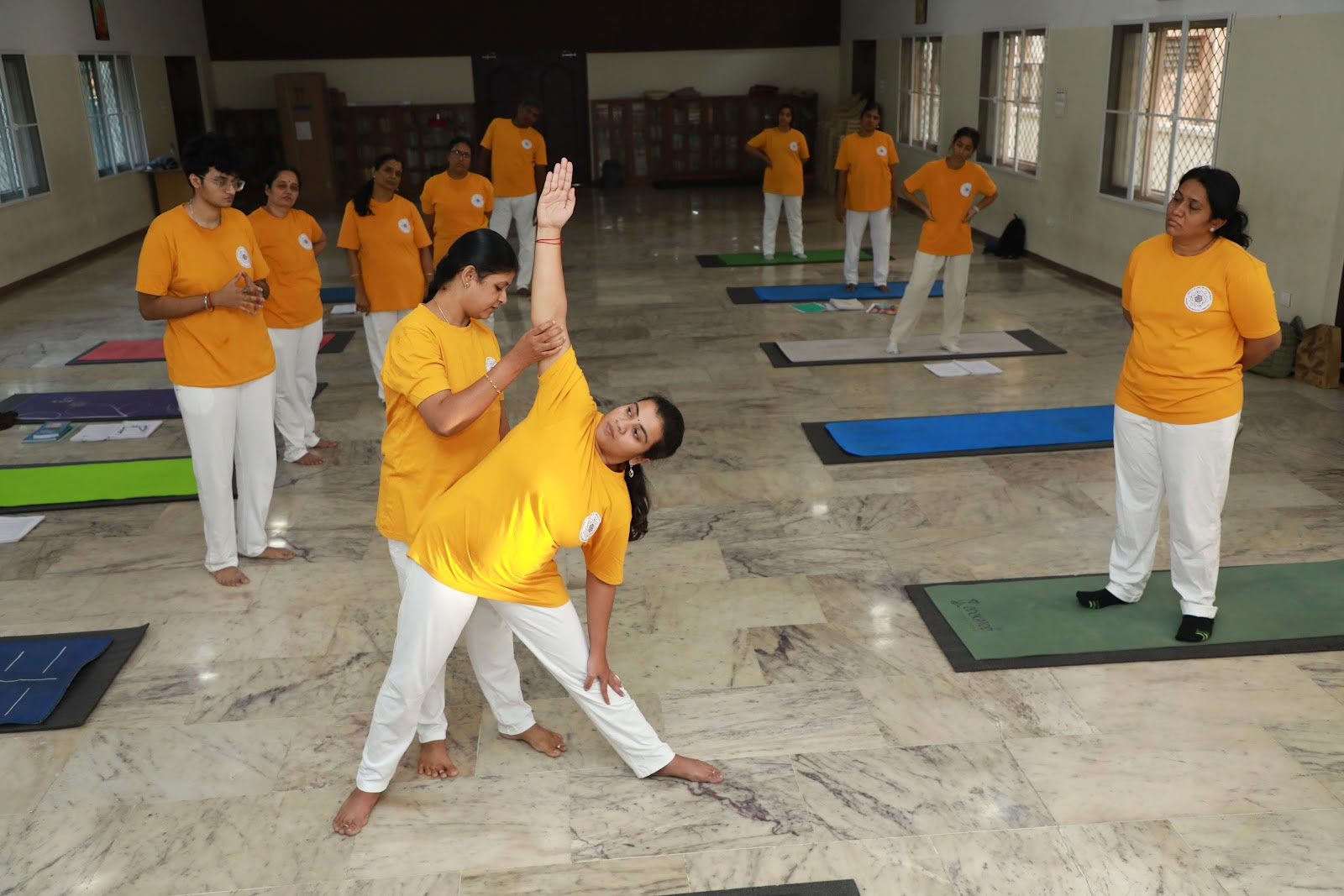 Institut de yoga intégral
