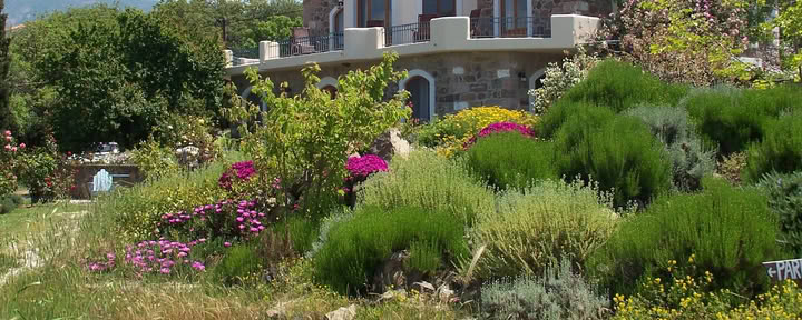 Centre de retraite de Milelja