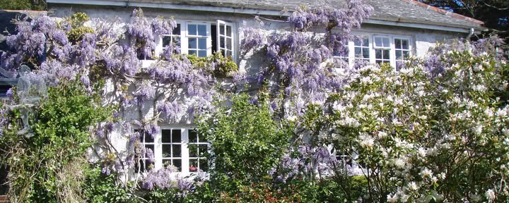 Rosemerrynwood
