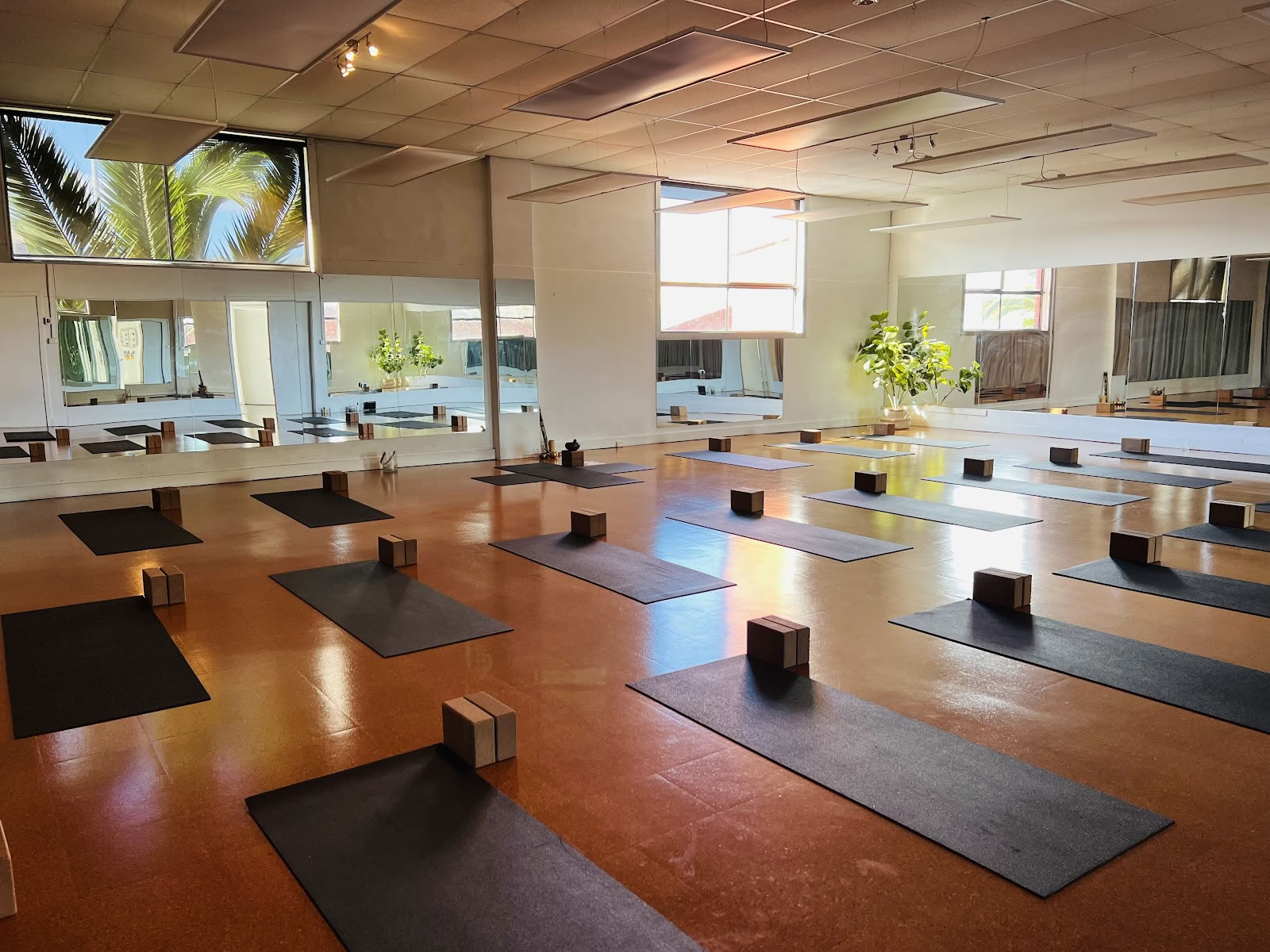 Yoga et Pilates de base