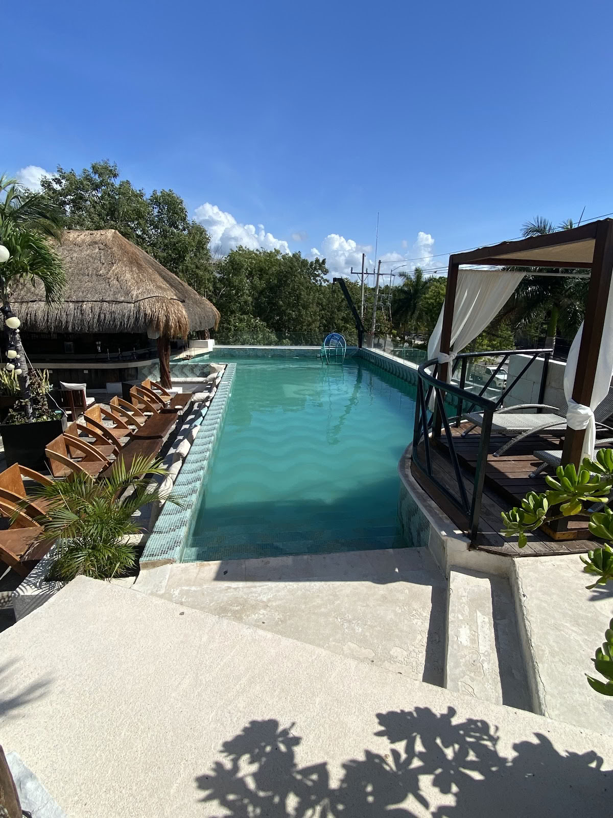Auberge Mayan Monkey Tulum