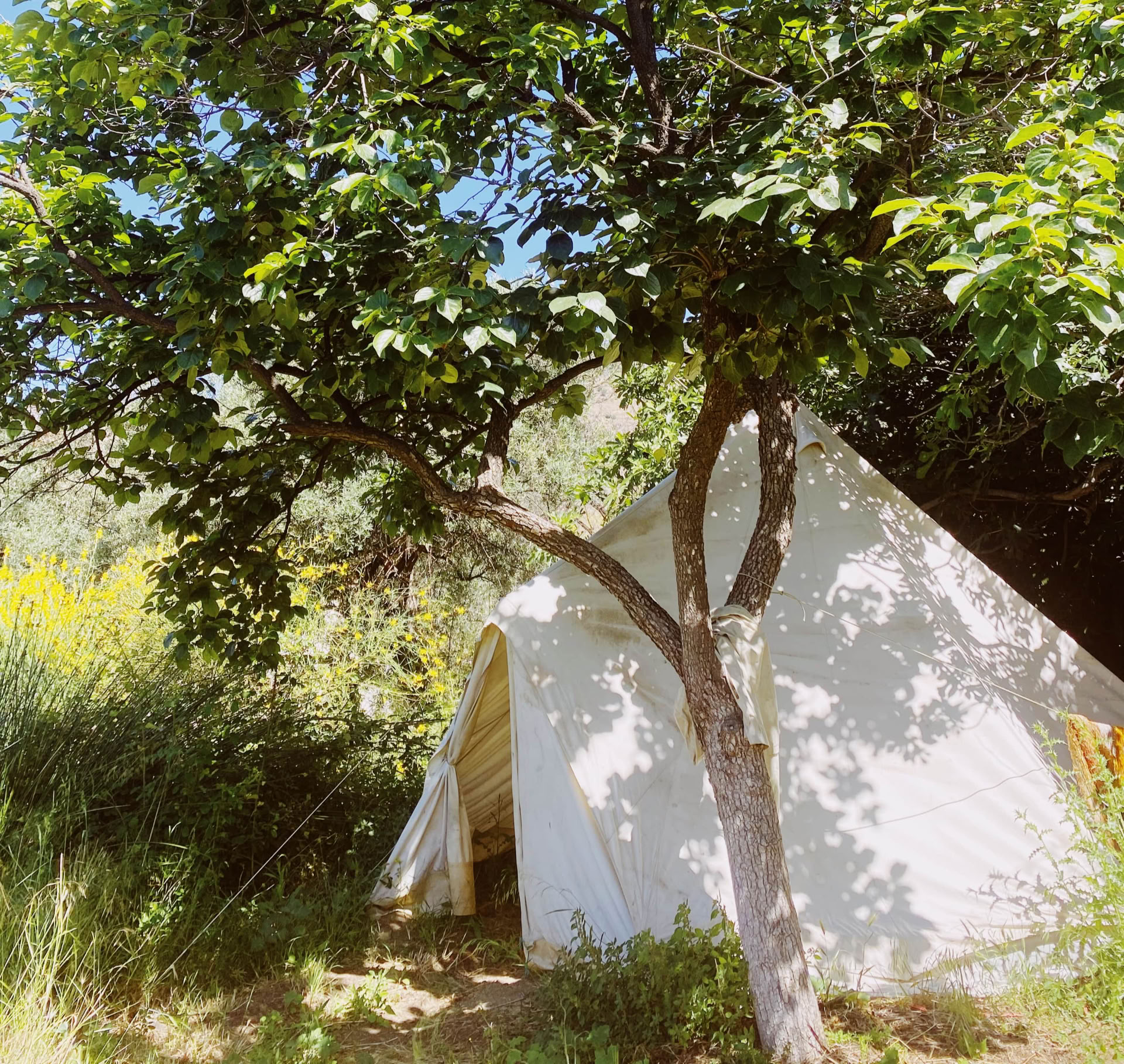 Tente cloche privée