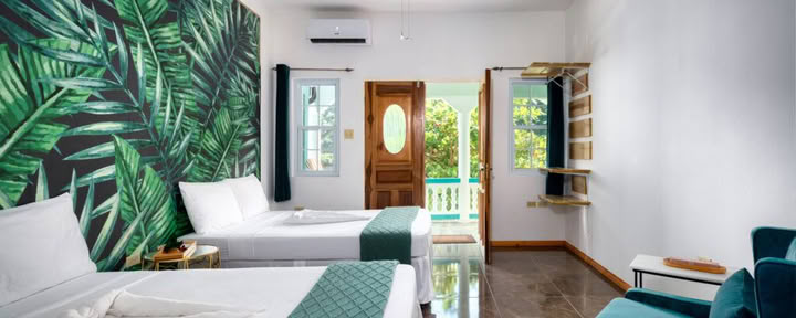 Suite 4 – Jungle cachée (Chambre double)