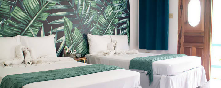 Suite 7 – Bamboo Bay (Chambre double)