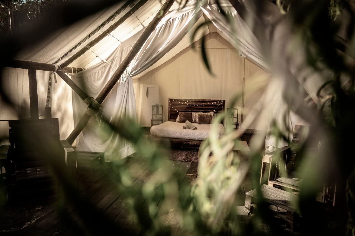 Refuge Safari Supérieur