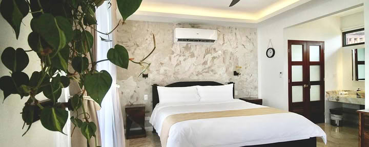 Suite Canopy