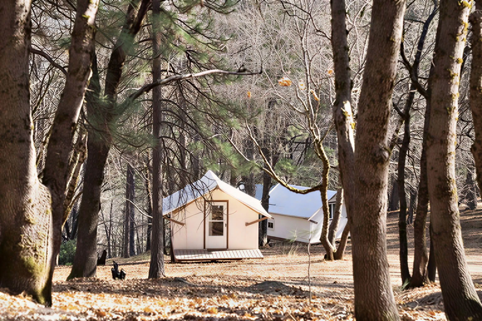 Bungalow - Bungalows de jardin