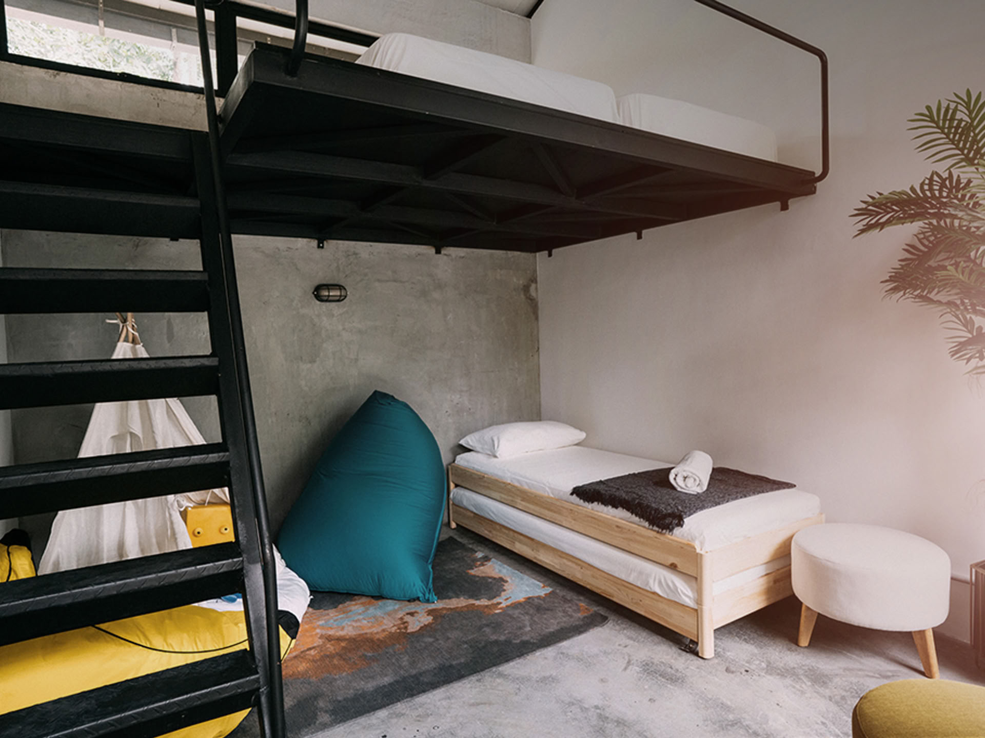 Bubo Cote Studio 3