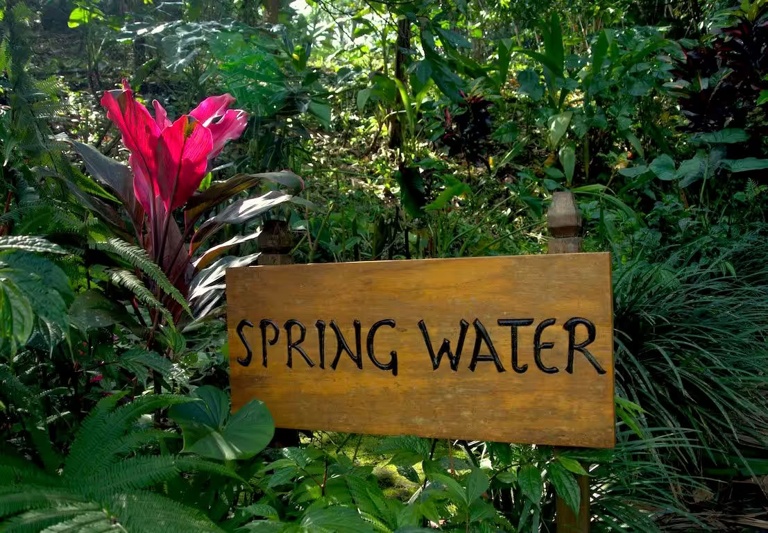Bungalow d’eau de source