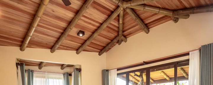 Suite Bungalow