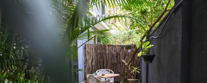 Palm Garden Room