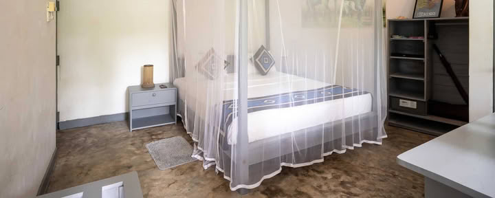 Jungle View Room